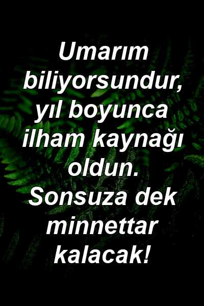 Umarım biliyorsundur, yıl boyunca ilham kaynağı oldun. Sonsuza dek minnettar kalacak!