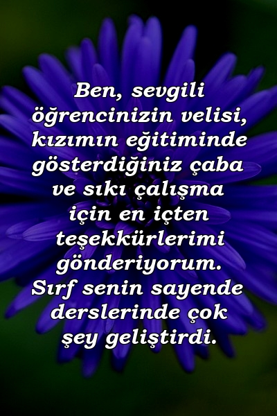 Ben, sevgili öğrencinizin velisi, kızımın eğitiminde gösterdiğiniz çaba ve sıkı çalışma için en içten teşekkürlerimi gönderiyorum. Sırf senin sayende derslerinde çok şey geliştirdi.