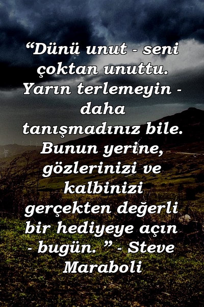 “Dünü unut - seni çoktan unuttu. Yarın terlemeyin - daha tanışmadınız bile. Bunun yerine, gözlerinizi ve kalbinizi gerçekten değerli bir hediyeye açın - bugün. ” - Steve Maraboli