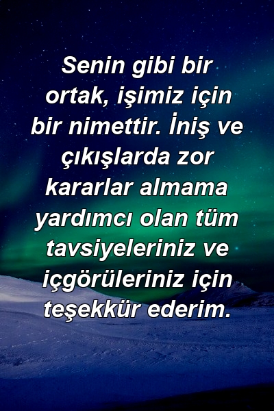 Senin gibi bir ortak, işimiz için bir nimettir. İniş ve çıkışlarda zor kararlar almama yardımcı olan tüm tavsiyeleriniz ve içgörüleriniz için teşekkür ederim.