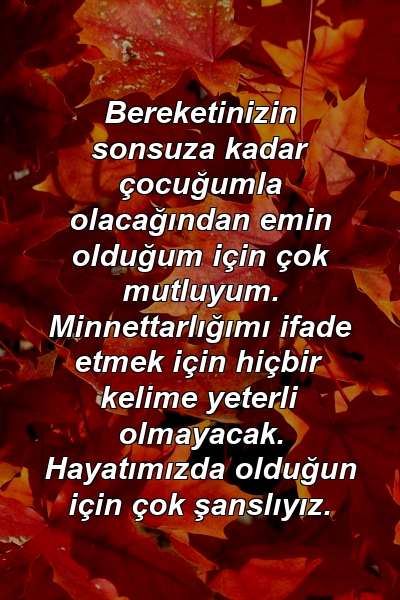 Bereketinizin sonsuza kadar çocuğumla olacağından emin olduğum için çok mutluyum. Minnettarlığımı ifade etmek için hiçbir kelime yeterli olmayacak. Hayatımızda olduğun için çok şanslıyız.