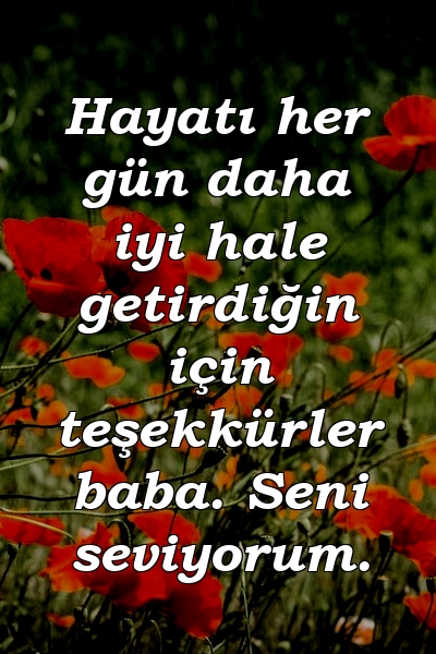 Hayatı her gün daha iyi hale getirdiğin için teşekkürler baba. Seni seviyorum.