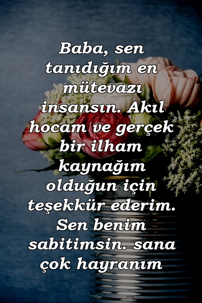 Baba, sen tanıdığım en mütevazı insansın. Akıl hocam ve gerçek bir ilham kaynağım olduğun için teşekkür ederim. Sen benim sabitimsin. sana çok hayranım