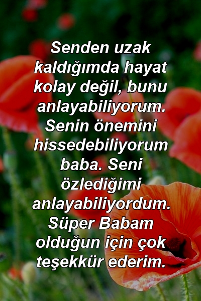 Senden uzak kaldığımda hayat kolay değil, bunu anlayabiliyorum. Senin önemini hissedebiliyorum baba. Seni özlediğimi anlayabiliyordum. Süper Babam olduğun için çok teşekkür ederim.