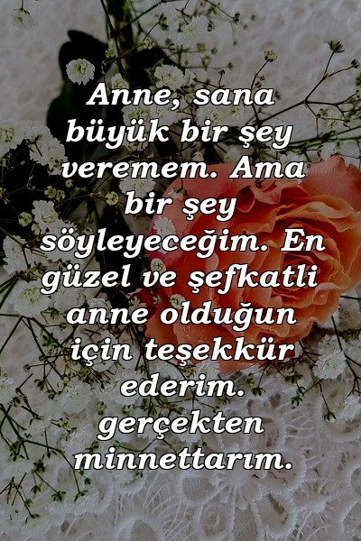 Anne, sana büyük bir şey veremem. Ama bir şey söyleyeceğim. En güzel ve şefkatli anne olduğun için teşekkür ederim. gerçekten minnettarım.