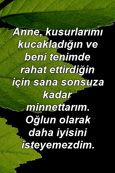 Anne, kusurlarımı kucakladığın ve beni tenimde rahat ettirdiğin için sana sonsuza kadar minnettarım. Oğlun olarak daha iyisini isteyemezdim.