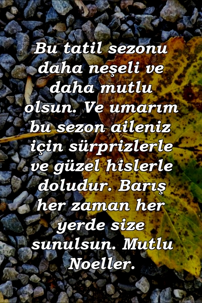 Bu tatil sezonu daha neşeli ve daha mutlu olsun. Ve umarım bu sezon aileniz için sürprizlerle ve güzel hislerle doludur. Barış her zaman her yerde size sunulsun. Mutlu Noeller.