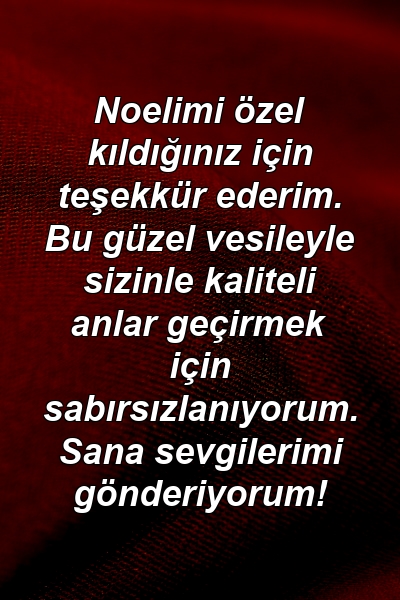 Noelimi özel kıldığınız için teşekkür ederim. Bu güzel vesileyle sizinle kaliteli anlar geçirmek için sabırsızlanıyorum. Sana sevgilerimi gönderiyorum!