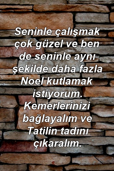 Seninle çalışmak çok güzel ve ben de seninle aynı şekilde daha fazla Noel kutlamak istiyorum. Kemerlerinizi bağlayalım ve Tatilin tadını çıkaralım.