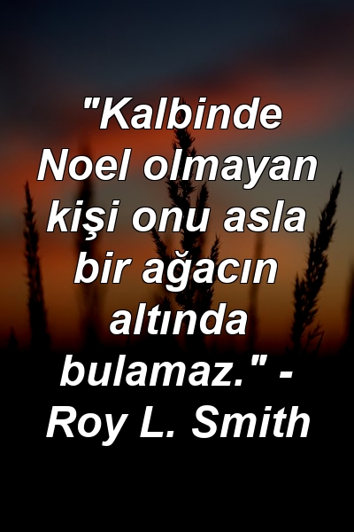 "Kalbinde Noel olmayan kişi onu asla bir ağacın altında bulamaz." - Roy L. Smith