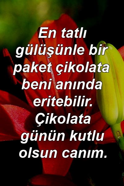 En tatlı gülüşünle bir paket çikolata beni anında eritebilir. Çikolata günün kutlu olsun canım.