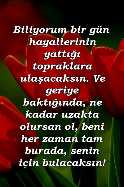 Biliyorum bir gün hayallerinin yattığı topraklara ulaşacaksın. Ve geriye baktığında, ne kadar uzakta olursan ol, beni her zaman tam burada, senin için bulacaksın!