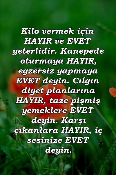 Kilo vermek için HAYIR ve EVET yeterlidir. Kanepede oturmaya HAYIR, egzersiz yapmaya EVET deyin. Çılgın diyet planlarına HAYIR, taze pişmiş yemeklere EVET deyin. Karşı çıkanlara HAYIR, iç sesinize EVET deyin.