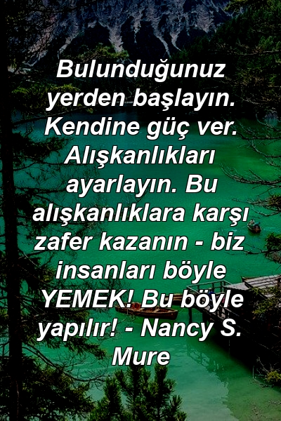 Bulunduğunuz yerden başlayın. Kendine güç ver. Alışkanlıkları ayarlayın. Bu alışkanlıklara karşı zafer kazanın - biz insanları böyle YEMEK! Bu böyle yapılır! - Nancy S. Mure