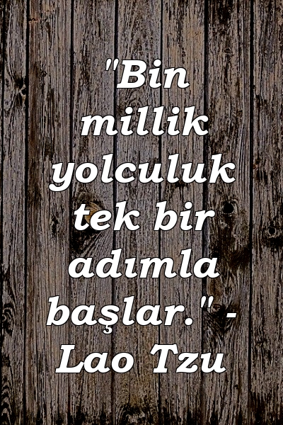 "Bin millik yolculuk tek bir adımla başlar." - Lao Tzu