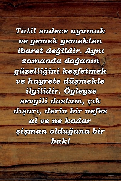 Tatil sadece uyumak ve yemek yemekten ibaret değildir. Aynı zamanda doğanın güzelliğini keşfetmek ve hayrete düşmekle ilgilidir. Öyleyse sevgili dostum, çık dışarı, derin bir nefes al ve ne kadar şişman olduğuna bir bak!