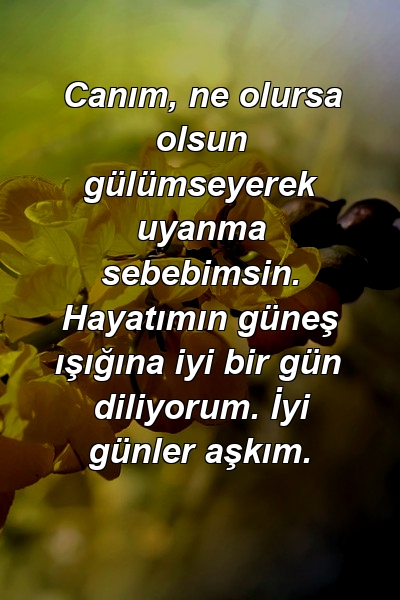 Canım, ne olursa olsun gülümseyerek uyanma sebebimsin. Hayatımın güneş ışığına iyi bir gün diliyorum. İyi günler aşkım.