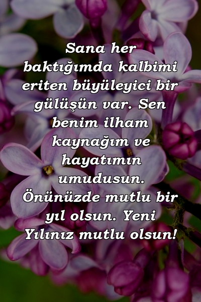 Sana her baktığımda kalbimi eriten büyüleyici bir gülüşün var. Sen benim ilham kaynağım ve hayatımın umudusun. Önünüzde mutlu bir yıl olsun. Yeni Yılınız mutlu olsun!