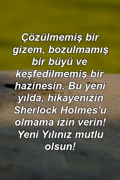 Çözülmemiş bir gizem, bozulmamış bir büyü ve keşfedilmemiş bir hazinesin. Bu yeni yılda, hikayenizin Sherlock Holmes