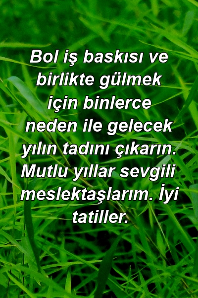 Bol iş baskısı ve birlikte gülmek için binlerce neden ile gelecek yılın tadını çıkarın. Mutlu yıllar sevgili meslektaşlarım. İyi tatiller.