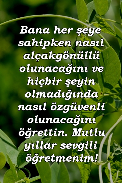 Bana her şeye sahipken nasıl alçakgönüllü olunacağını ve hiçbir şeyin olmadığında nasıl özgüvenli olunacağını öğrettin. Mutlu yıllar sevgili öğretmenim!