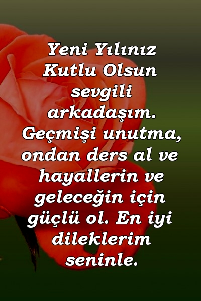 Yeni Yılınız Kutlu Olsun sevgili arkadaşım. Geçmişi unutma, ondan ders al ve hayallerin ve geleceğin için güçlü ol. En iyi dileklerim seninle.