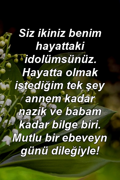 Siz ikiniz benim hayattaki idolümsünüz. Hayatta olmak istediğim tek şey annem kadar nazik ve babam kadar bilge biri. Mutlu bir ebeveyn günü dileğiyle!