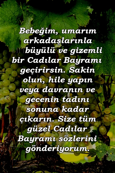 Bebeğim, umarım arkadaşlarınla ​​büyülü ve gizemli bir Cadılar Bayramı geçirirsin. Sakin olun, hile yapın veya davranın ve gecenin tadını sonuna kadar çıkarın. Size tüm güzel Cadılar Bayramı sözlerini gönderiyorum.