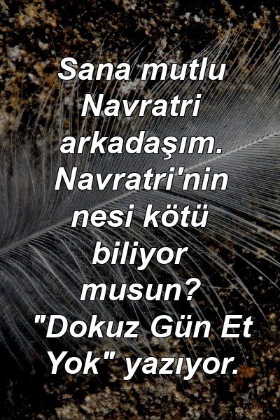 Sana mutlu Navratri arkadaşım. Navratri