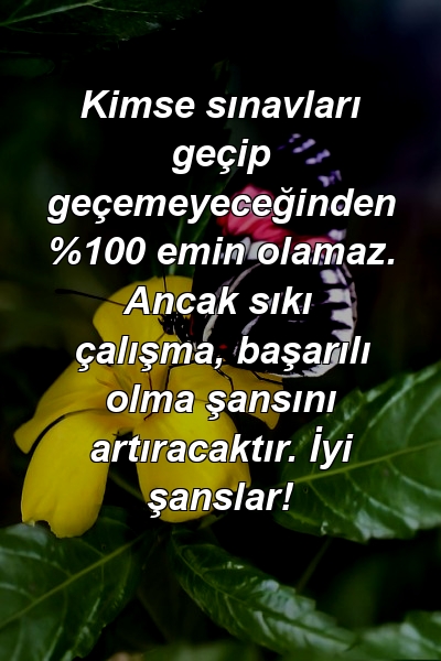 Kimse sınavları geçip geçemeyeceğinden %100 emin olamaz. Ancak sıkı çalışma, başarılı olma şansını artıracaktır. İyi şanslar!