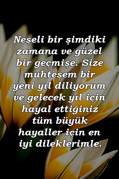 Neşeli bir şimdiki zamana ve güzel bir geçmişe. Size muhteşem bir yeni yıl diliyorum ve gelecek yıl için hayal ettiğiniz tüm büyük hayaller için en iyi dileklerimle.