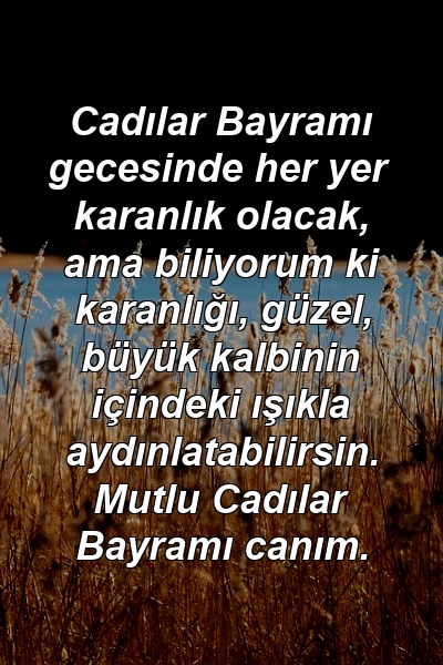 Cadılar Bayramı gecesinde her yer karanlık olacak, ama biliyorum ki karanlığı, güzel, büyük kalbinin içindeki ışıkla aydınlatabilirsin. Mutlu Cadılar Bayramı canım.