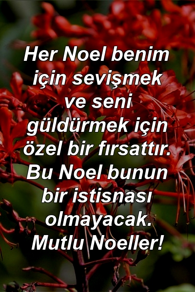 Her Noel benim için sevişmek ve seni güldürmek için özel bir fırsattır. Bu Noel bunun bir istisnası olmayacak. Mutlu Noeller!