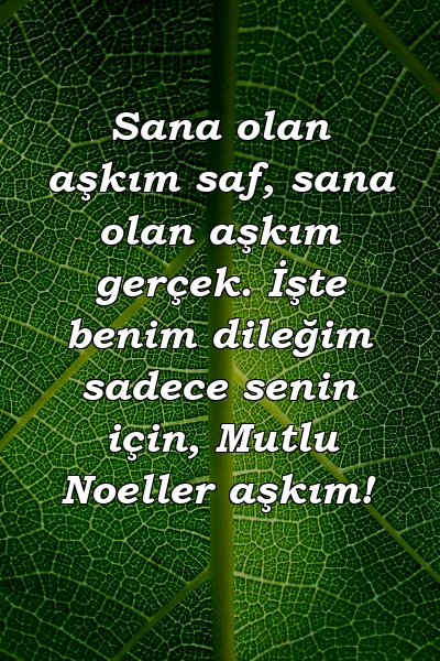 Sana olan aşkım saf, sana olan aşkım gerçek. İşte benim dileğim sadece senin için, Mutlu Noeller aşkım!