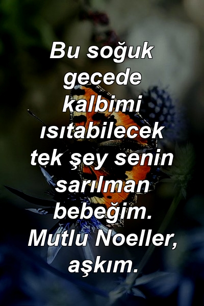 Bu soğuk gecede kalbimi ısıtabilecek tek şey senin sarılman bebeğim. Mutlu Noeller, aşkım.