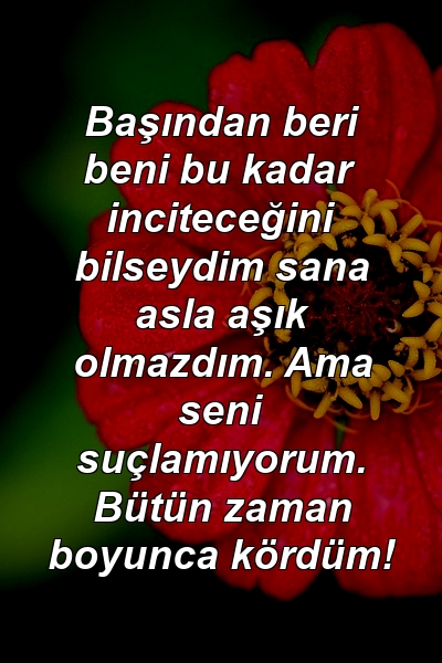 Başından beri beni bu kadar inciteceğini bilseydim sana asla aşık olmazdım. Ama seni suçlamıyorum. Bütün zaman boyunca kördüm!