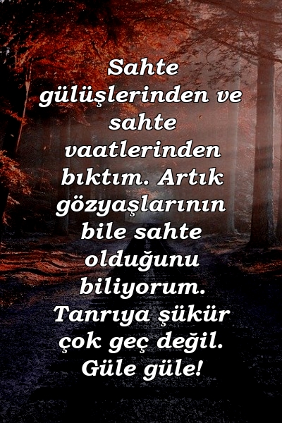 Sahte gülüşlerinden ve sahte vaatlerinden bıktım. Artık gözyaşlarının bile sahte olduğunu biliyorum. Tanrıya şükür çok geç değil. Güle güle!