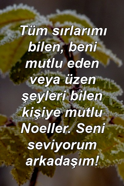 Tüm sırlarımı bilen, beni mutlu eden veya üzen şeyleri bilen kişiye mutlu Noeller. Seni seviyorum arkadaşım!