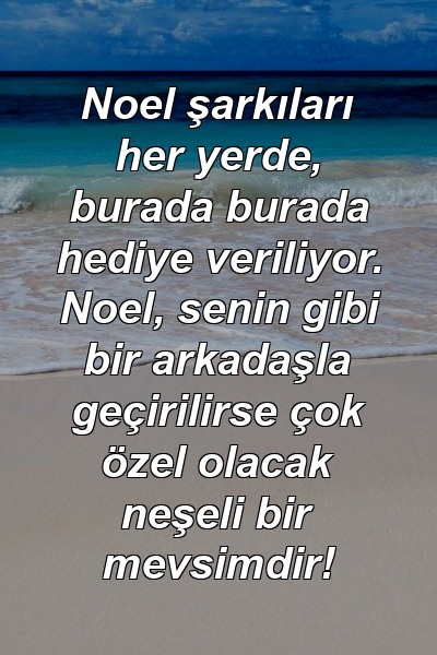 Noel şarkıları her yerde, burada burada hediye veriliyor. Noel, senin gibi bir arkadaşla geçirilirse çok özel olacak neşeli bir mevsimdir!