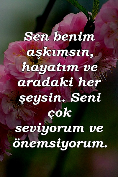 Sen benim aşkımsın, hayatım ve aradaki her şeysin. Seni çok seviyorum ve önemsiyorum.