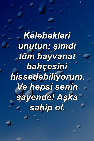 Kelebekleri unutun; şimdi tüm hayvanat bahçesini hissedebiliyorum. Ve hepsi senin sayende! Aşka sahip ol.