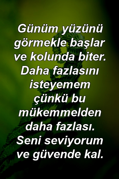 Günüm yüzünü görmekle başlar ve kolunda biter. Daha fazlasını isteyemem çünkü bu mükemmelden daha fazlası. Seni seviyorum ve güvende kal.