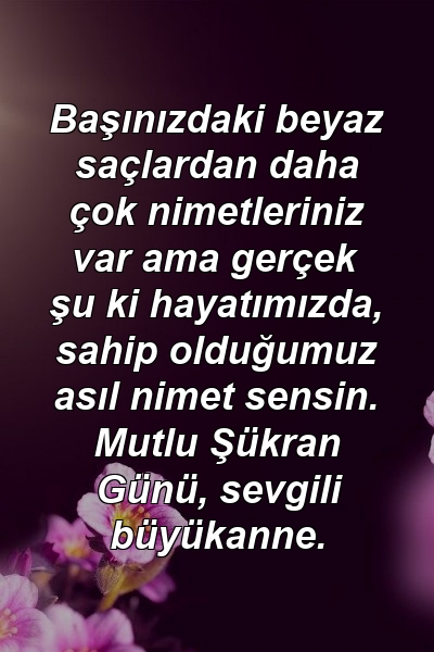 Başınızdaki beyaz saçlardan daha çok nimetleriniz var ama gerçek şu ki hayatımızda, sahip olduğumuz asıl nimet sensin. Mutlu Şükran Günü, sevgili büyükanne.