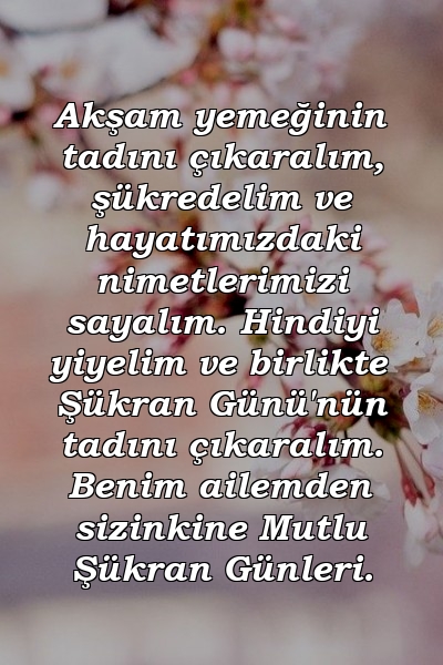 Akşam yemeğinin tadını çıkaralım, şükredelim ve hayatımızdaki nimetlerimizi sayalım. Hindiyi yiyelim ve birlikte Şükran Günü