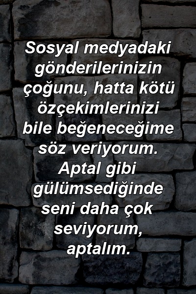 Sosyal medyadaki gönderilerinizin çoğunu, hatta kötü özçekimlerinizi bile beğeneceğime söz veriyorum. Aptal gibi gülümsediğinde seni daha çok seviyorum, aptalım.