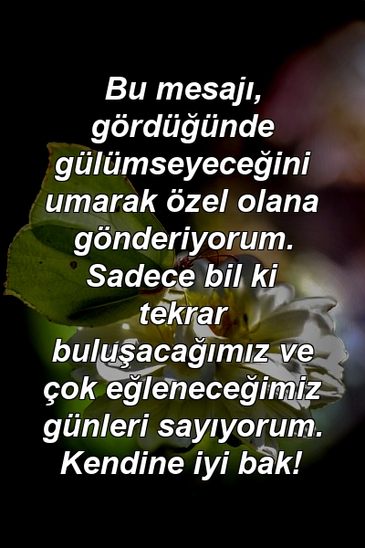 Bu mesajı, gördüğünde gülümseyeceğini umarak özel olana gönderiyorum. Sadece bil ki tekrar buluşacağımız ve çok eğleneceğimiz günleri sayıyorum. Kendine iyi bak!