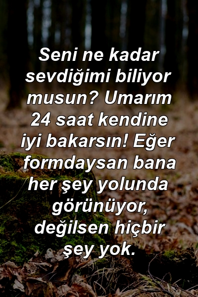 Seni ne kadar sevdiğimi biliyor musun? Umarım 24 saat kendine iyi bakarsın! Eğer formdaysan bana her şey yolunda görünüyor, değilsen hiçbir şey yok.