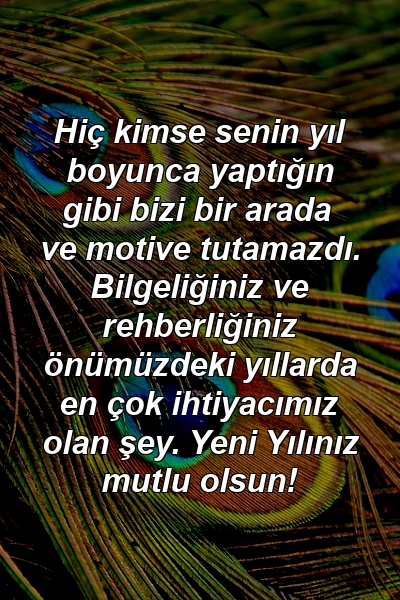 Hiç kimse senin yıl boyunca yaptığın gibi bizi bir arada ve motive tutamazdı. Bilgeliğiniz ve rehberliğiniz önümüzdeki yıllarda en çok ihtiyacımız olan şey. Yeni Yılınız mutlu olsun!