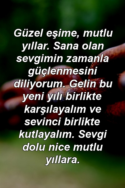 Güzel eşime, mutlu yıllar. Sana olan sevgimin zamanla güçlenmesini diliyorum. Gelin bu yeni yılı birlikte karşılayalım ve sevinci birlikte kutlayalım. Sevgi dolu nice mutlu yıllara.