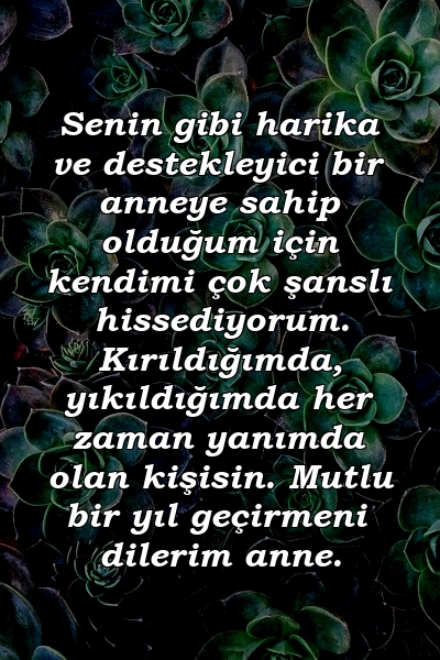 Senin gibi harika ve destekleyici bir anneye sahip olduğum için kendimi çok şanslı hissediyorum. Kırıldığımda, yıkıldığımda her zaman yanımda olan kişisin. Mutlu bir yıl geçirmeni dilerim anne.